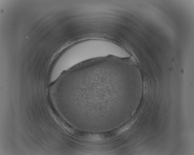 X0000084600349200703091934