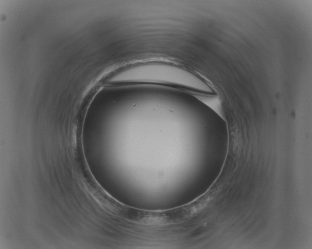 X0000084600350200703091934