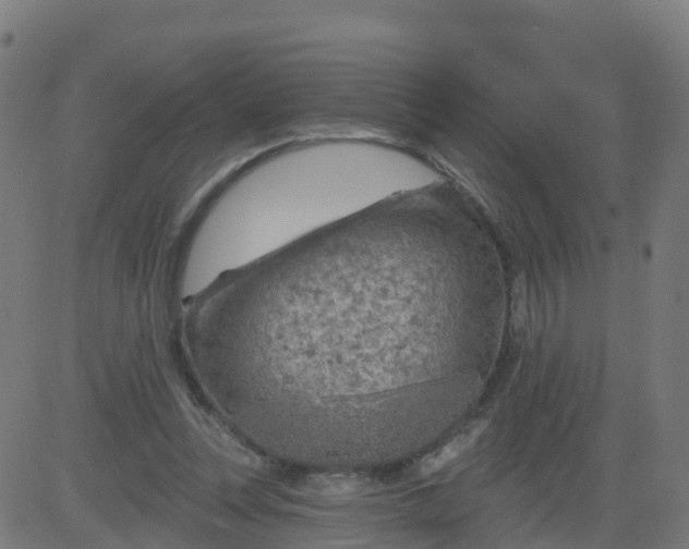 X0000084600351200703091934