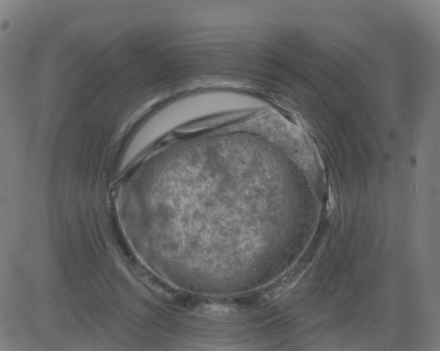 X0000084600352200703091934