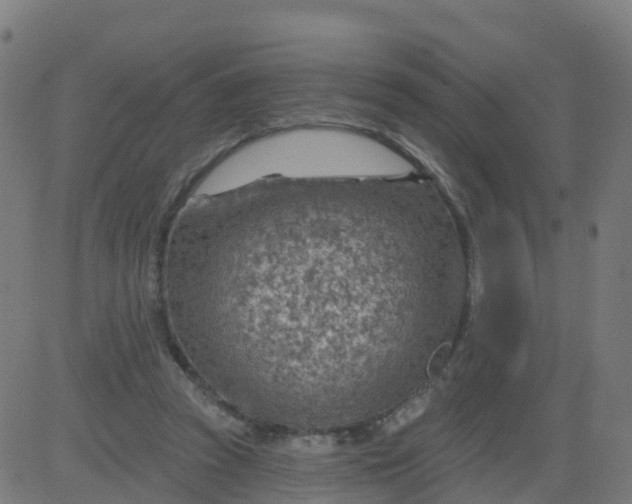 X0000084600353200703091934