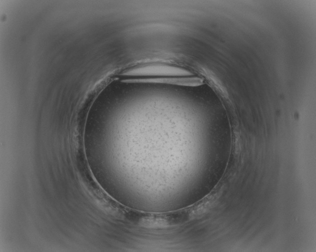 X0000084600354200703091934