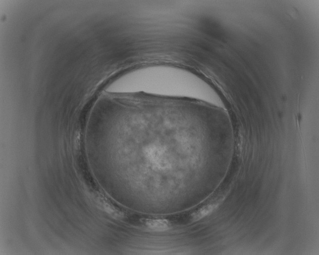 X0000084600355200703091935