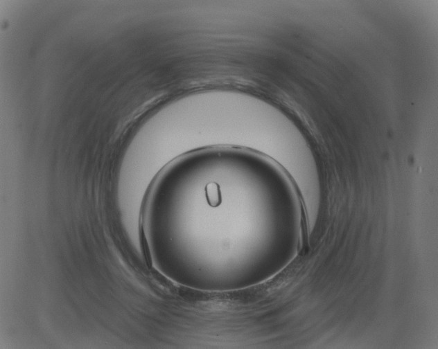 X0000084600356200703091935