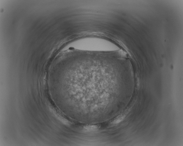 X0000084600357200703091935