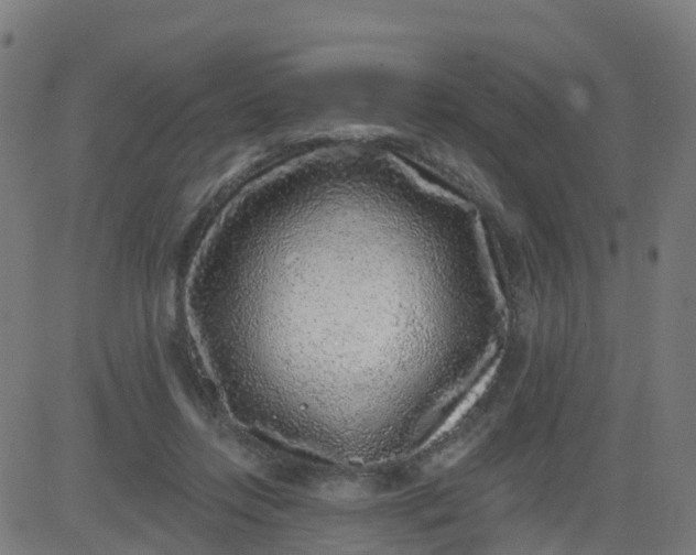 X0000084600358200703091935