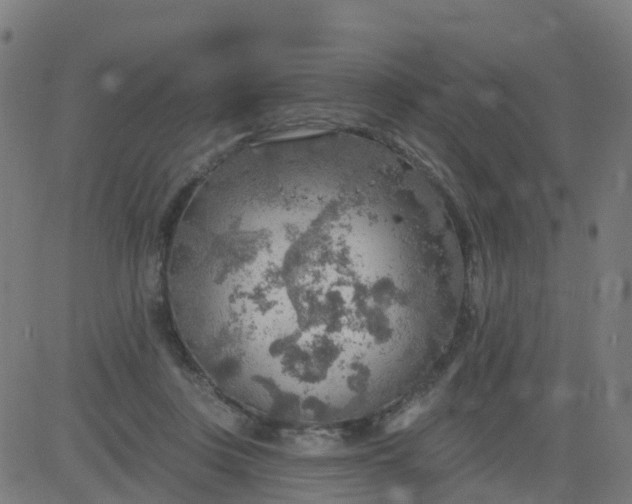 X0000084600359200703091935