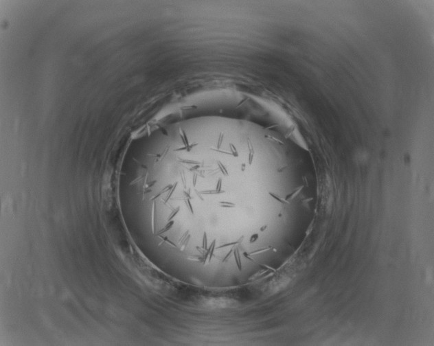 X0000084600360200703091935