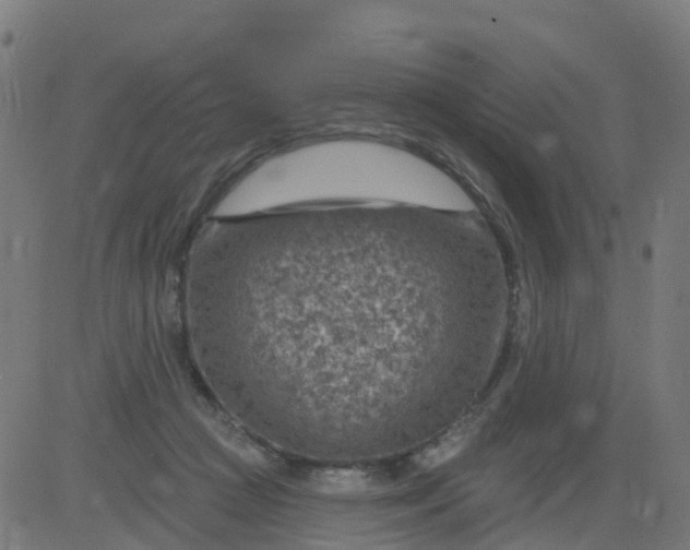 X0000084600361200703091935