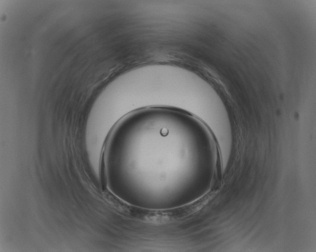 X0000084600362200703091935