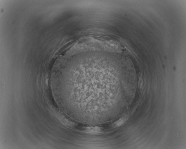 X0000084600363200703091935