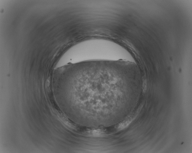 X0000084600365200703091935