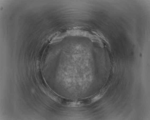 X0000084600366200703091935