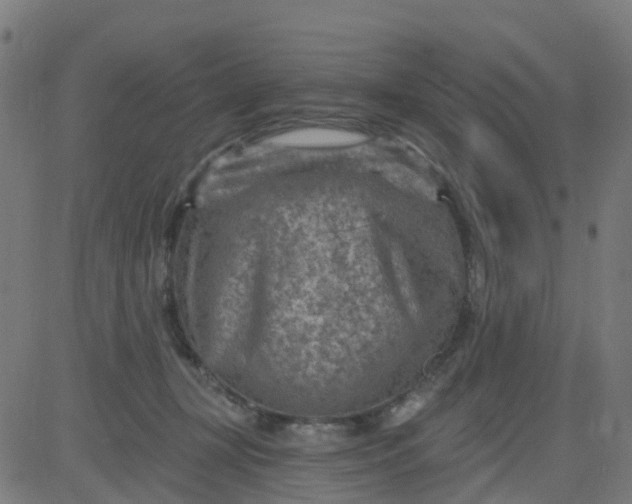 X0000084600367200703091935