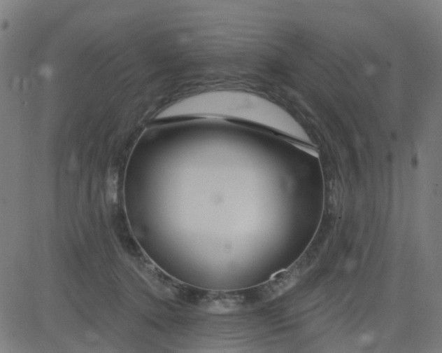 X0000084600368200703091935