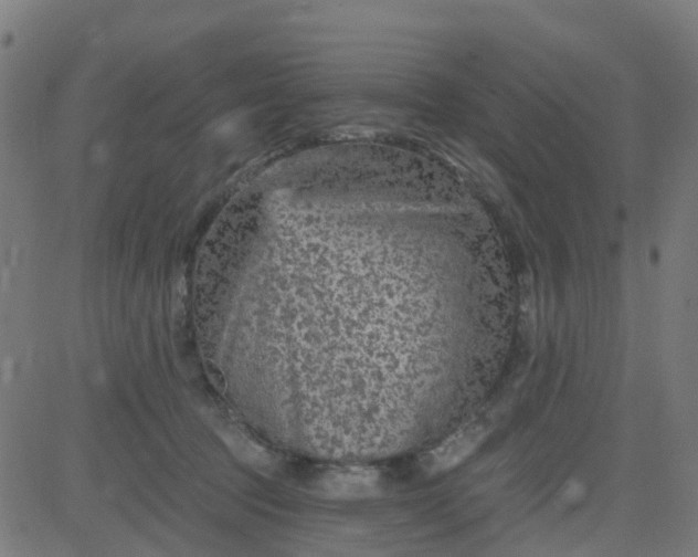 X0000084600369200703091935