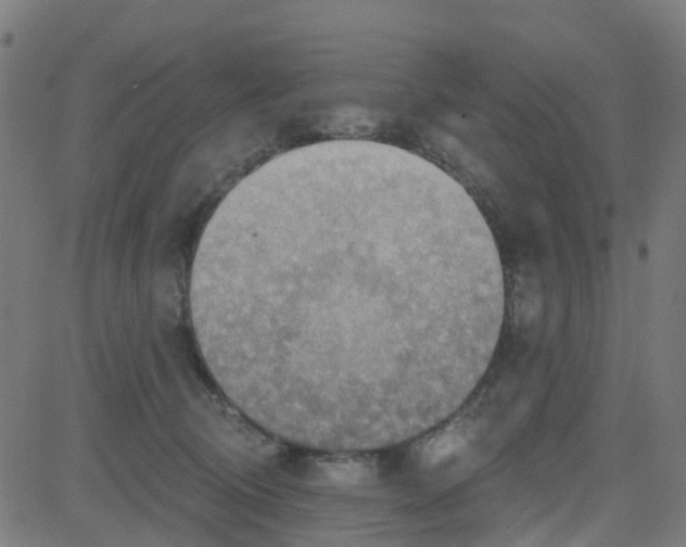 X0000084600370200703091935