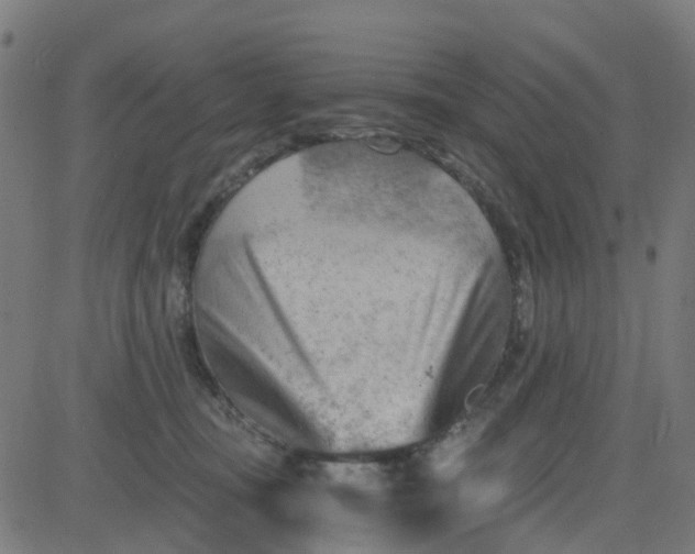 X0000084600371200703091935