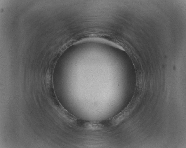 X0000084600372200703091935