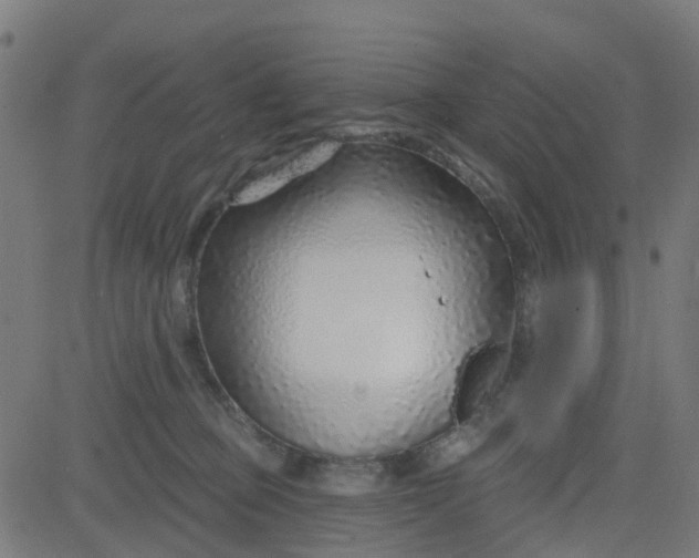 X0000084600373200703091935