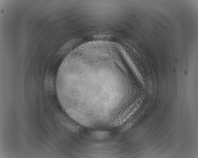 X0000084600375200703091935