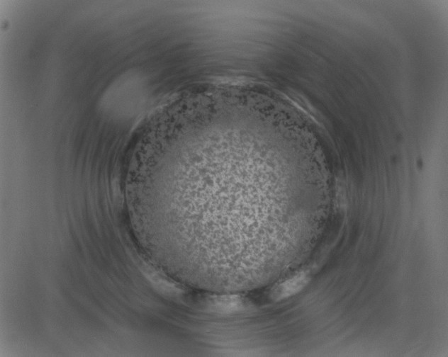 X0000084600377200703091935