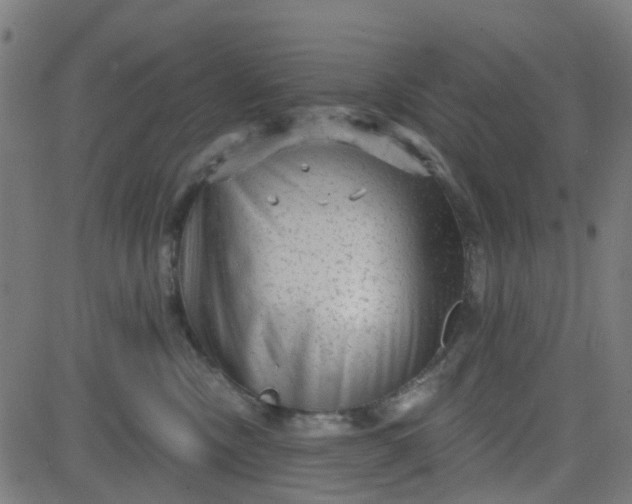 X0000084600378200703091935