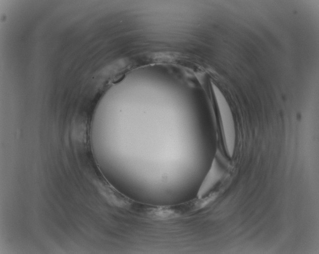 X0000084600379200703091935