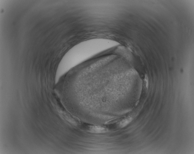 X0000084600380200703091935