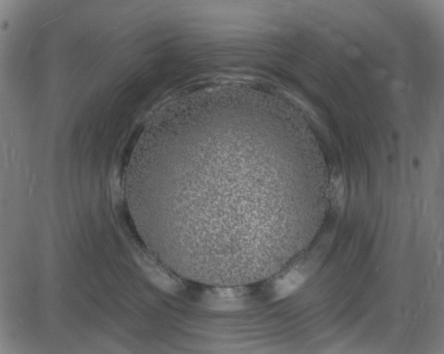 X0000084600381200703091935