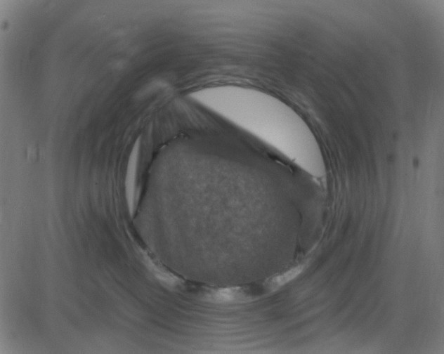 X0000084600382200703091935