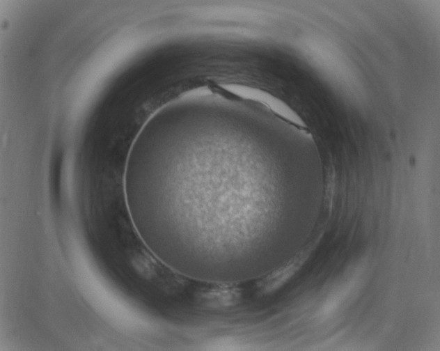 X0000084600383200703091935