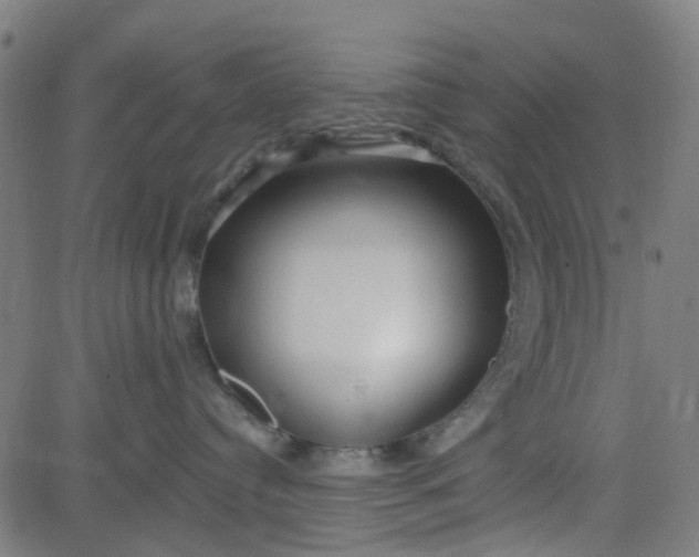 X0000084600384200703091935