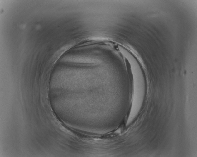 X0000084600385200703091934