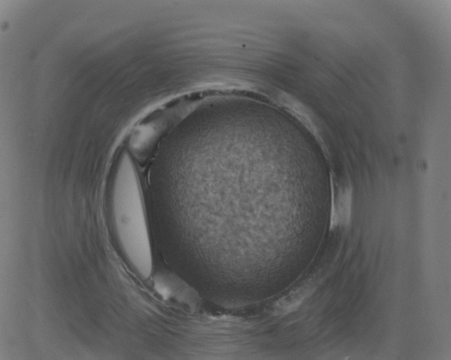 X0000084600387200703091934