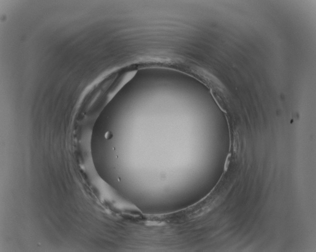 X0000084600388200703091934