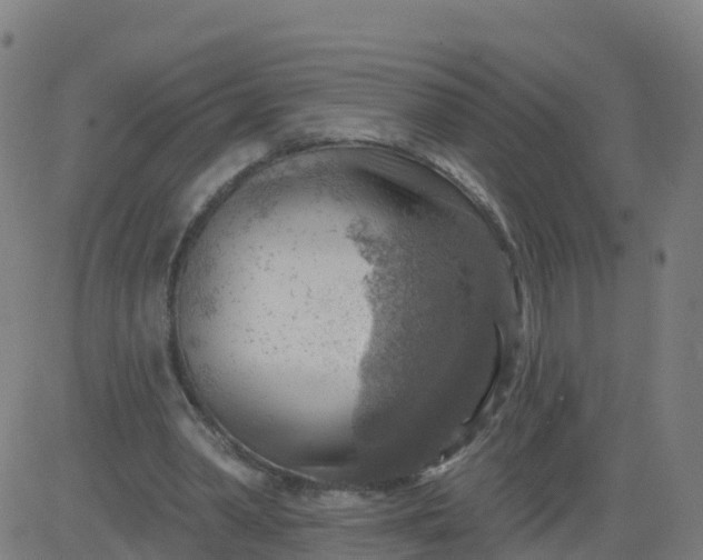 X0000084600390200703091934