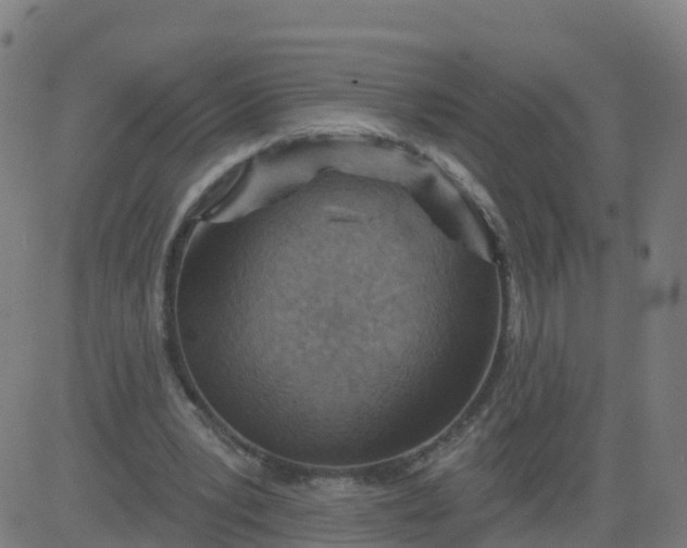 X0000084600391200703091934