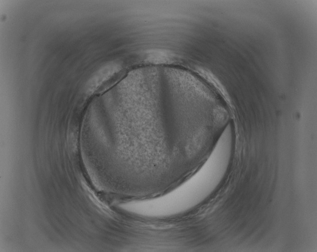 X0000084600393200703091934