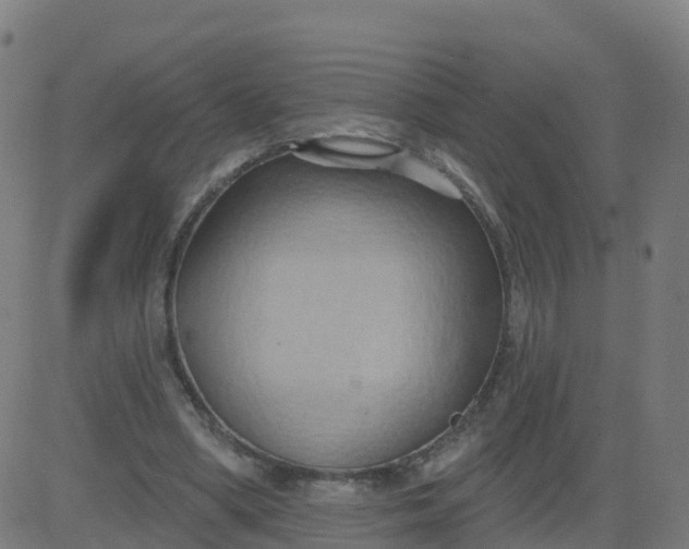 X0000084600394200703091934