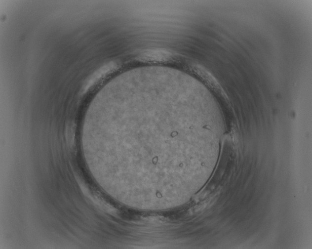 X0000084600396200703091934