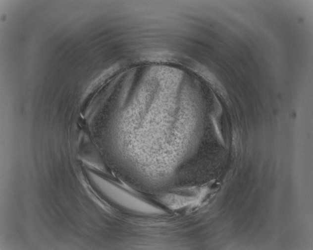 X0000084600397200703091934