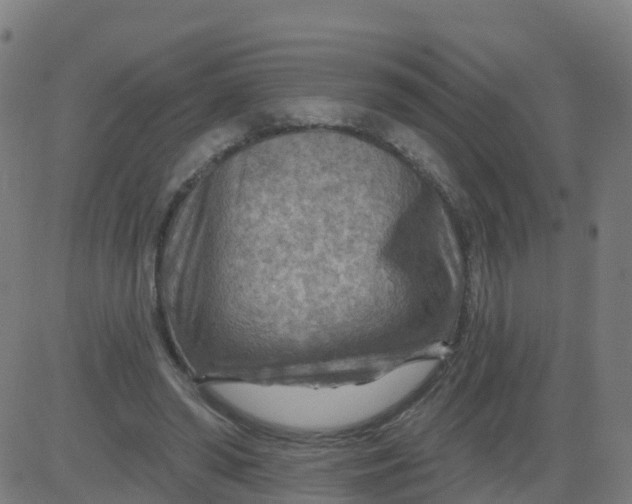 X0000084600398200703091934