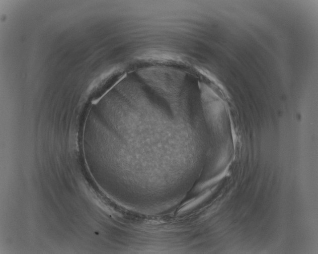 X0000084600399200703091934