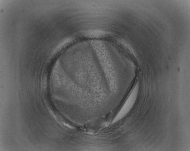 X0000084600400200703091934