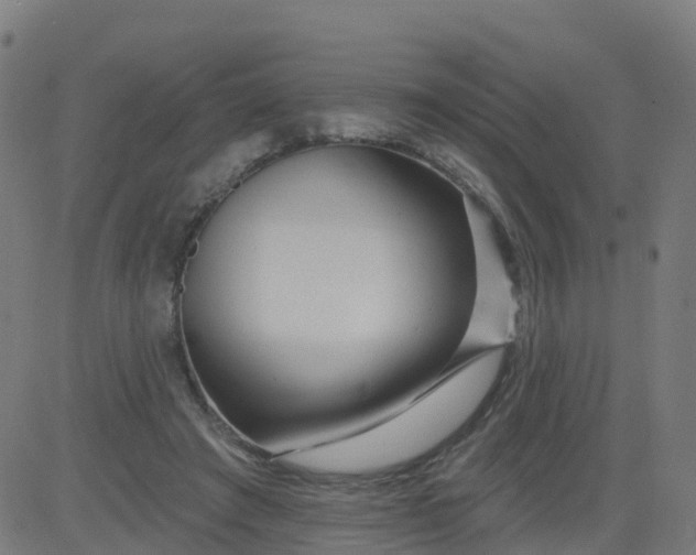 X0000084600401200703091934