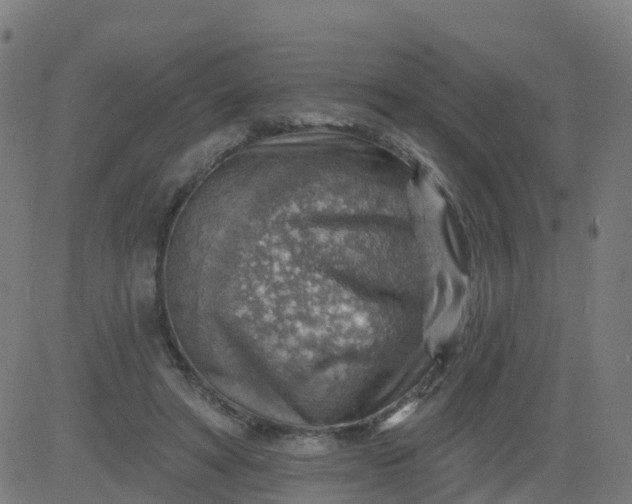 X0000084600402200703091934