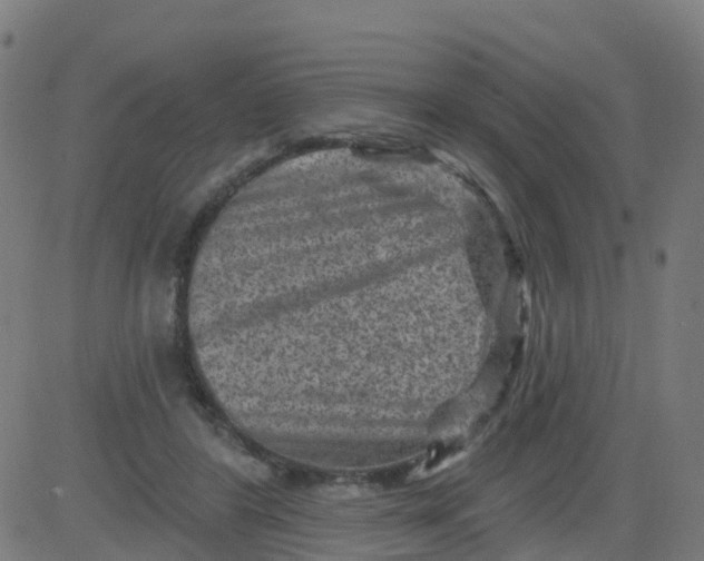 X0000084600404200703091934