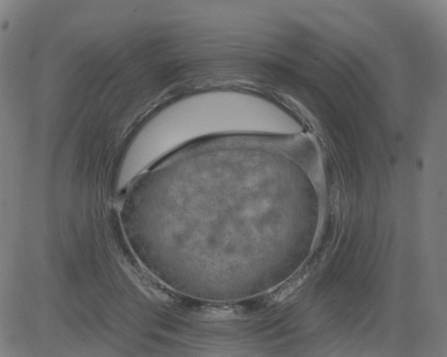 X0000084600405200703091934