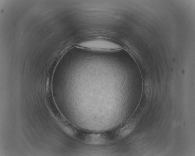 X0000084600406200703091934